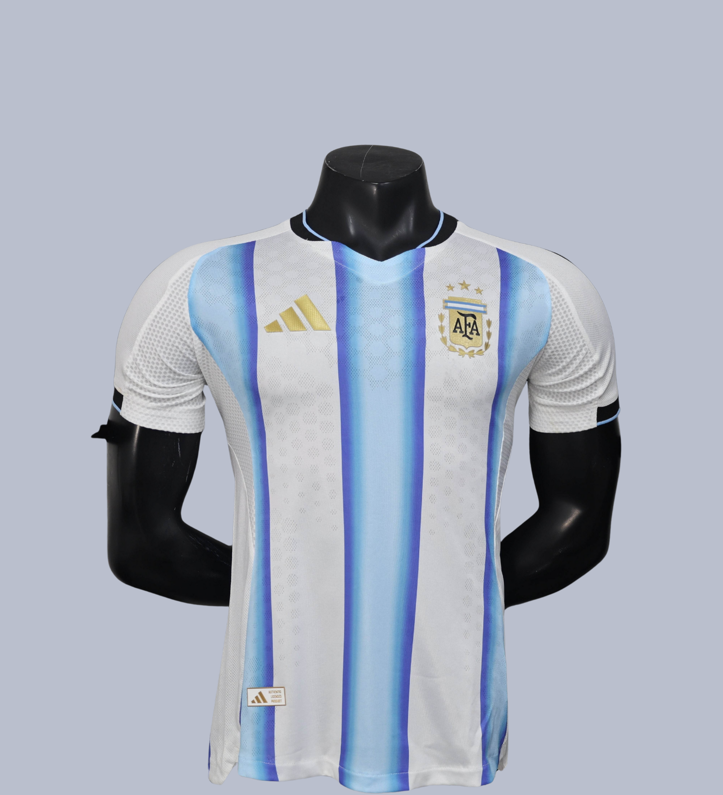 Seleccion Argentina 26/27 - Mundial 2025 version jugador