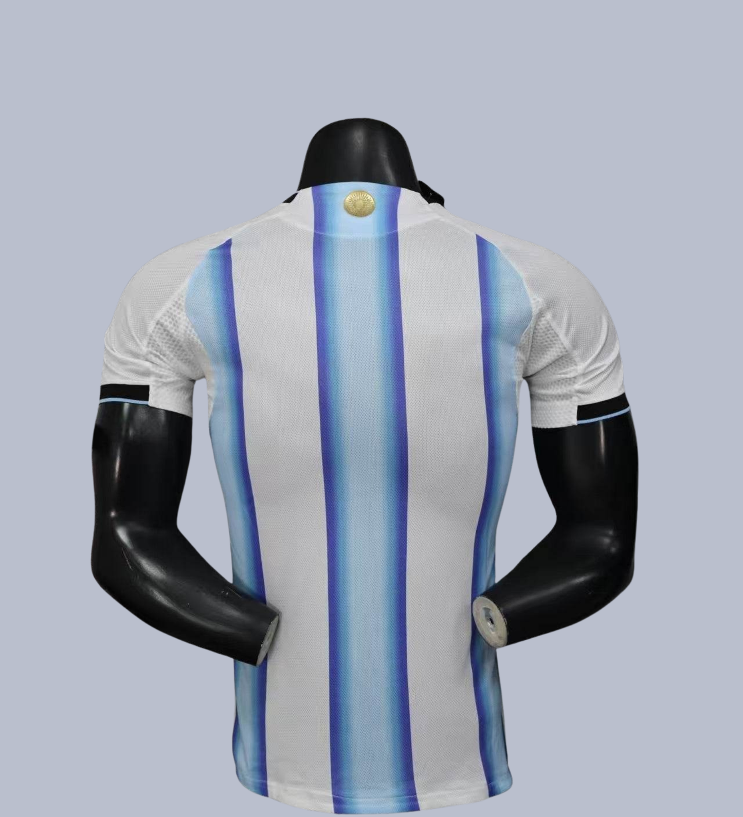 Seleccion Argentina 26/27 - Mundial 2025 version jugador